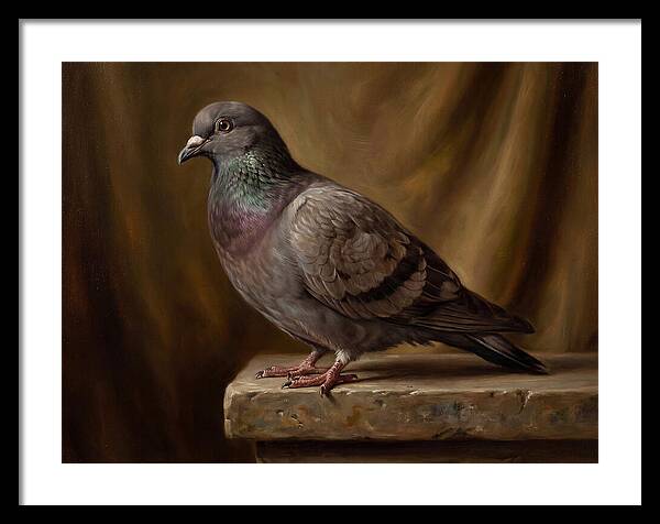 Pigeon Perched Elegance