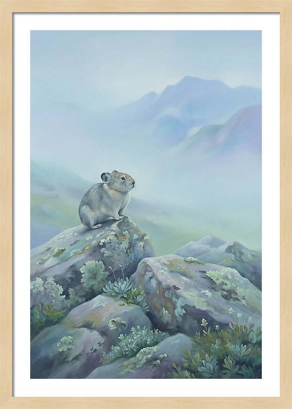Pika Among Alpine Rocks