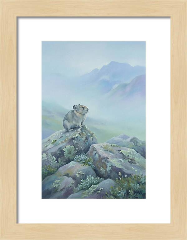Pika Among Alpine Rocks