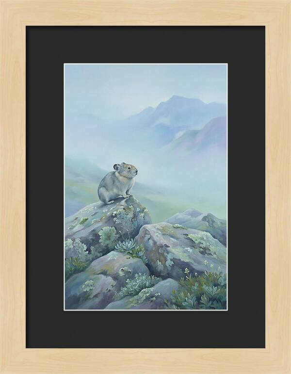 Pika Among Alpine Rocks