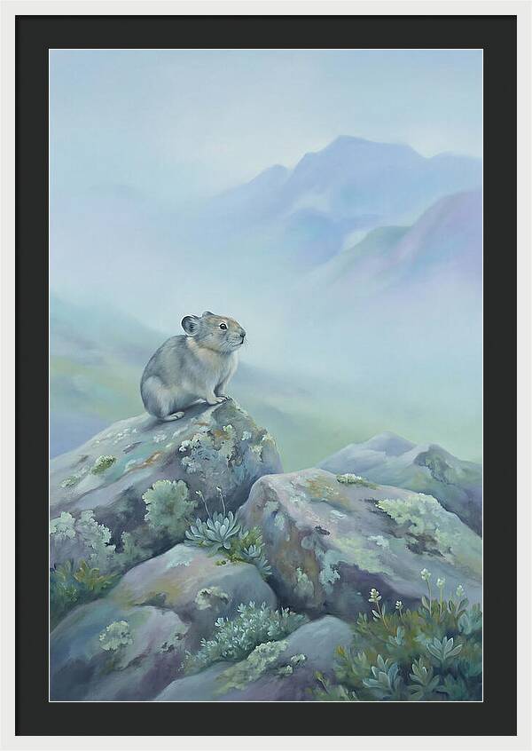 Pika Among Alpine Rocks