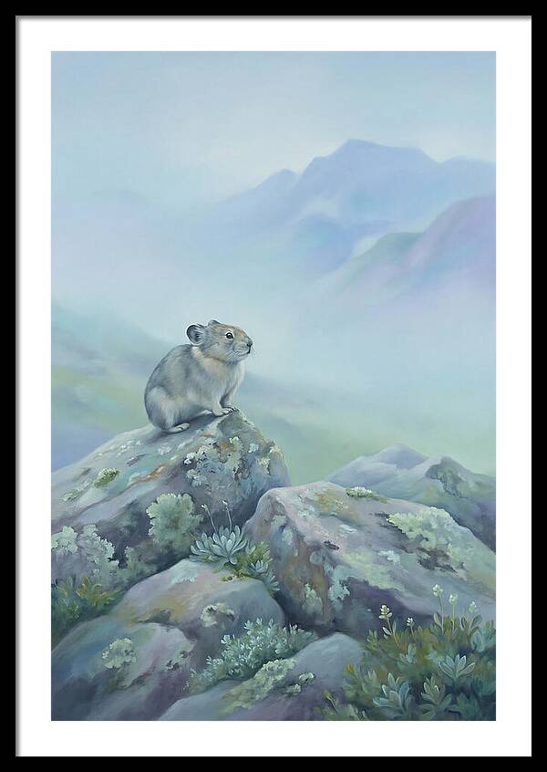 Pika Among Alpine Rocks