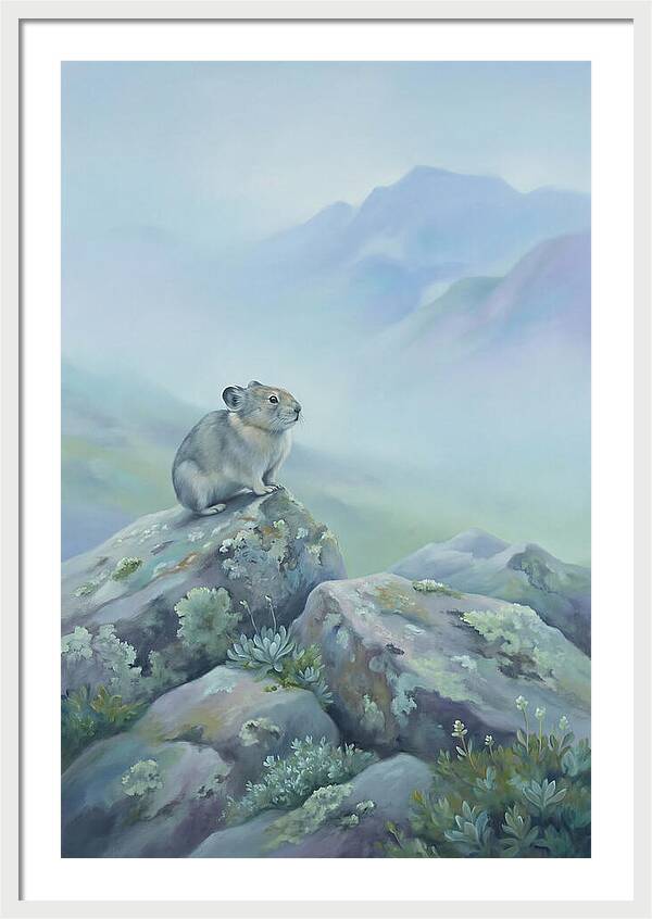 Pika Among Alpine Rocks