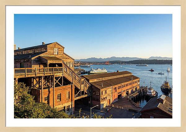 Pike Place Market Serenity