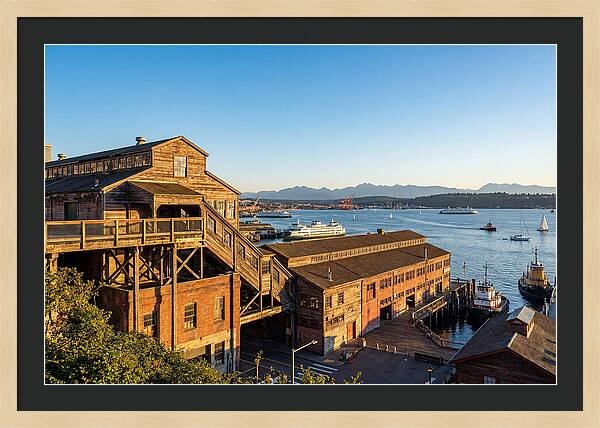 Pike Place Market Serenity