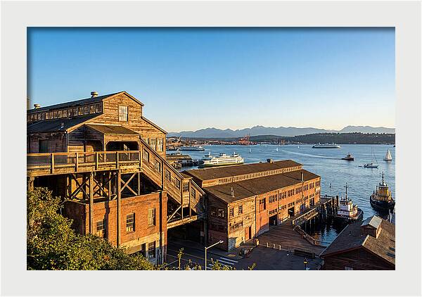 Pike Place Market Serenity
