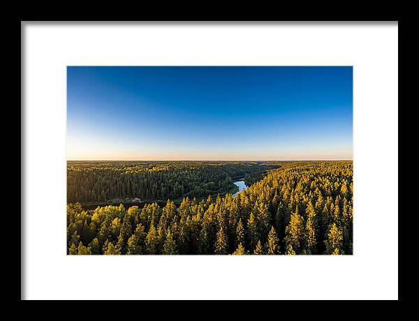 Pine Barrens Serenity
