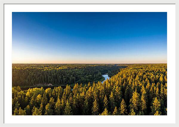 Pine Barrens Serenity