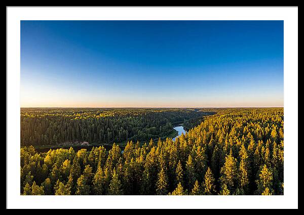 Pine Barrens Serenity