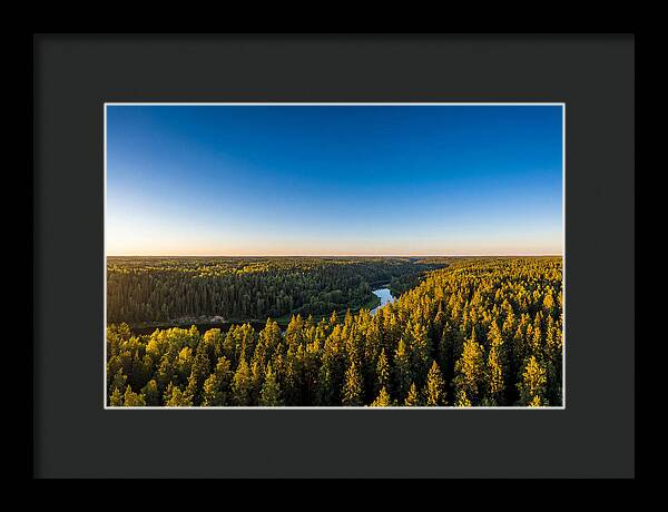 Pine Barrens Serenity