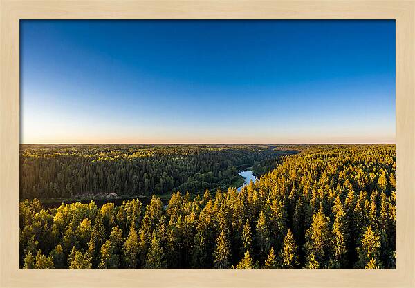 Pine Barrens Serenity