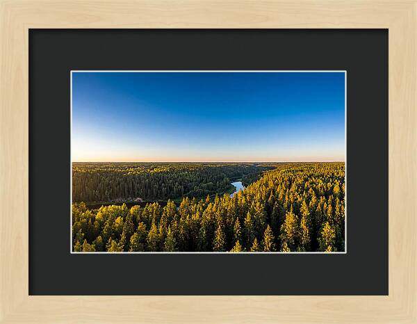 Pine Barrens Serenity