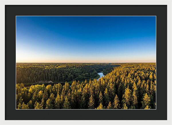 Pine Barrens Serenity