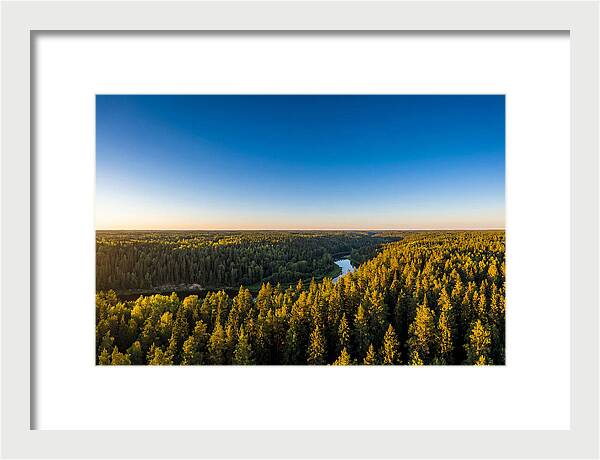 Pine Barrens Serenity