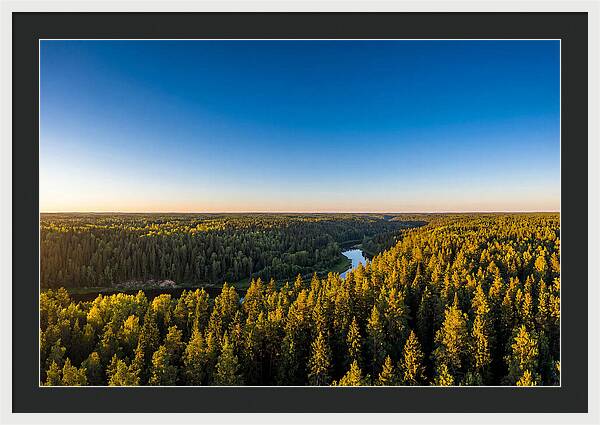Pine Barrens Serenity