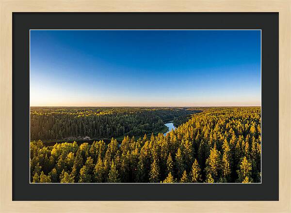 Pine Barrens Serenity