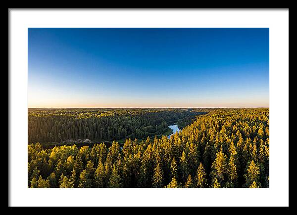 Pine Barrens Serenity