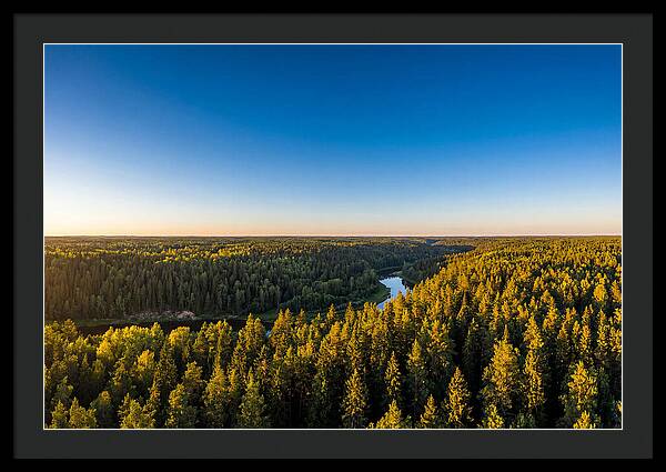 Pine Barrens Serenity