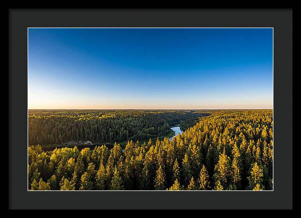 Pine Barrens Serenity