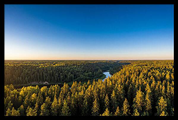 Pine Barrens Serenity