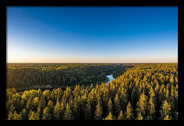 Pine Barrens Serenity
