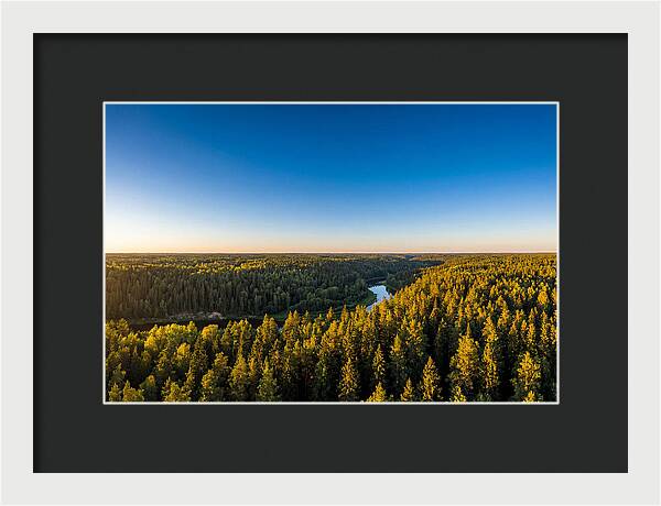 Pine Barrens Serenity