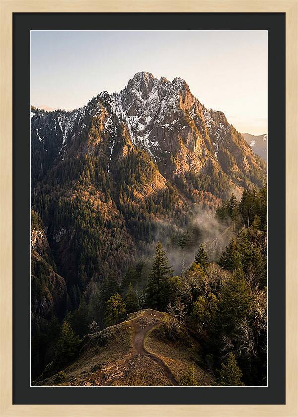 Pine Mountain Majesty