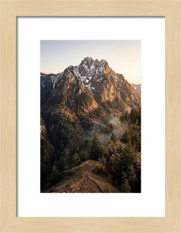 Pine Mountain Majesty
