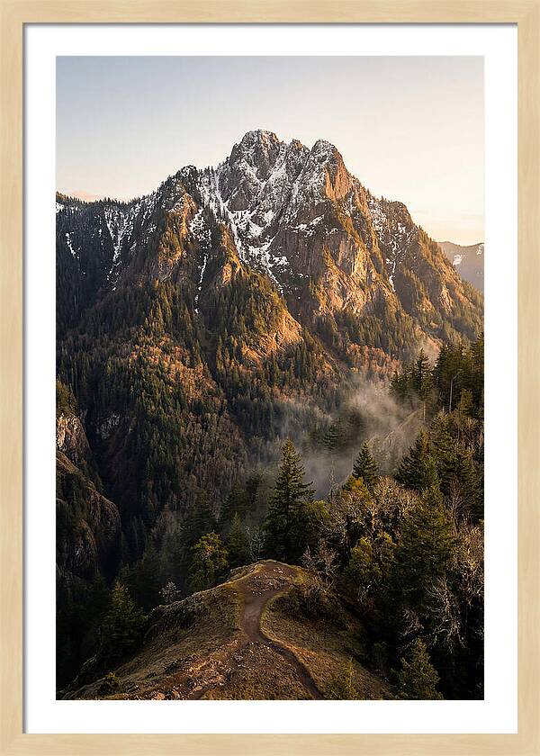 Pine Mountain Majesty