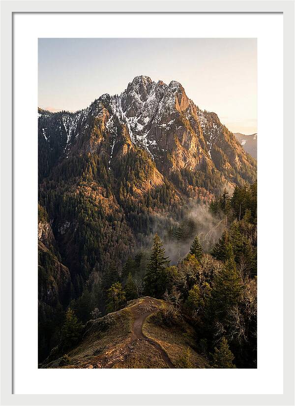 Pine Mountain Majesty