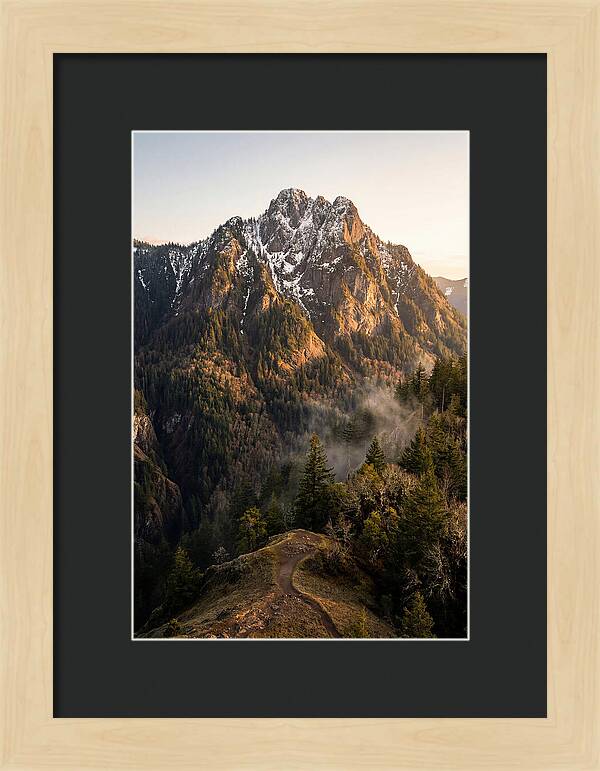 Pine Mountain Majesty
