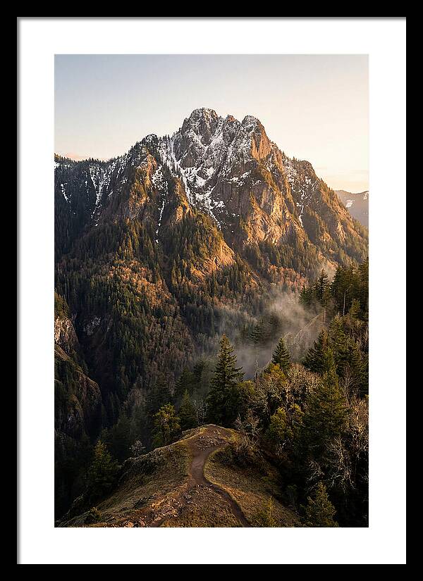 Pine Mountain Majesty
