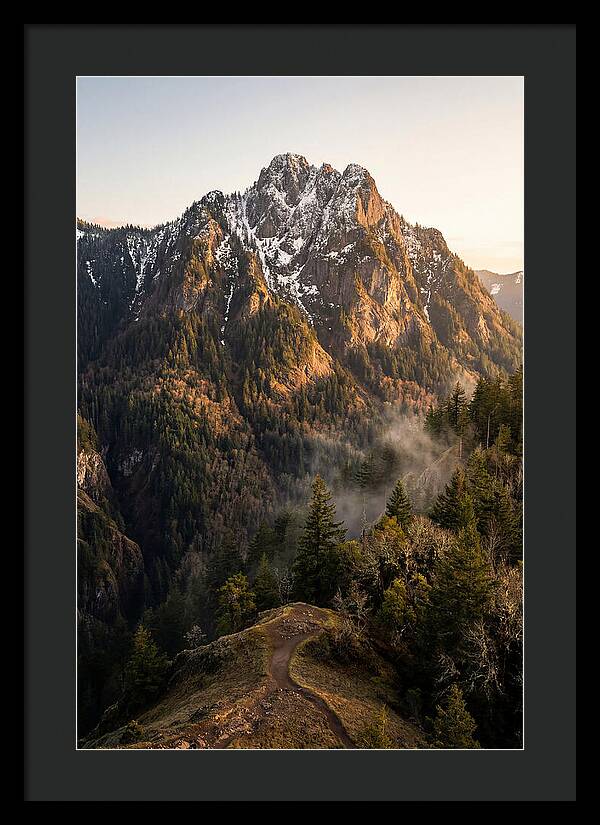 Pine Mountain Majesty