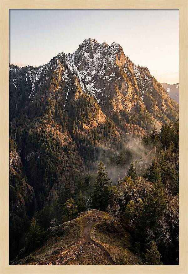 Pine Mountain Majesty