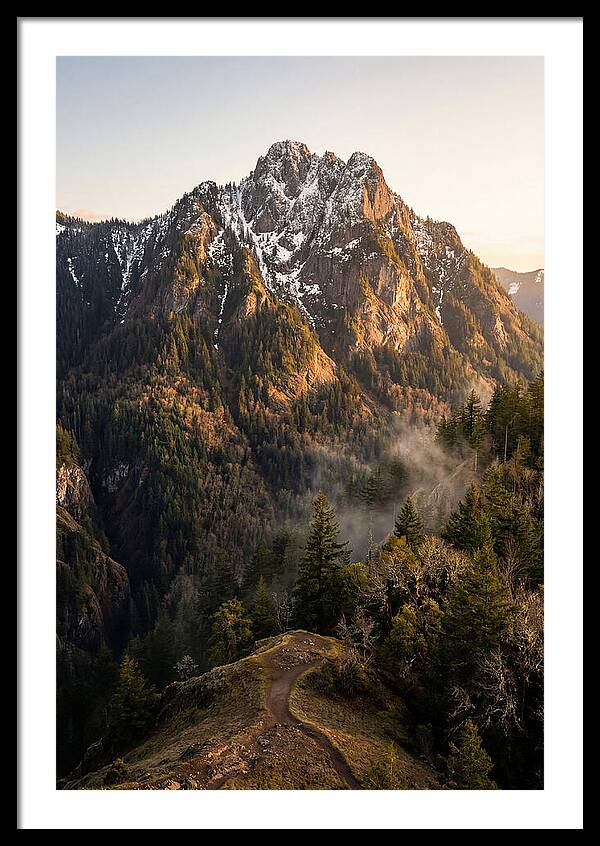 Pine Mountain Majesty