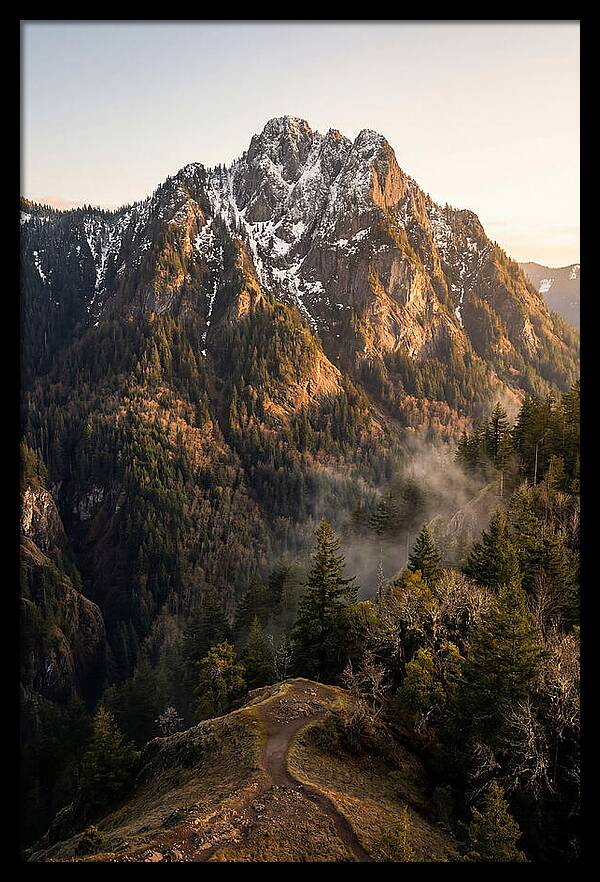 Pine Mountain Majesty