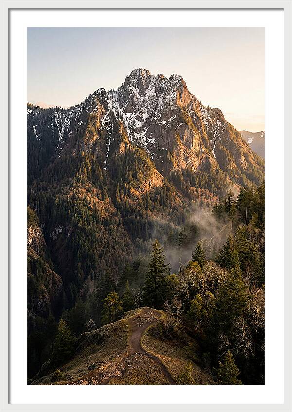 Pine Mountain Majesty