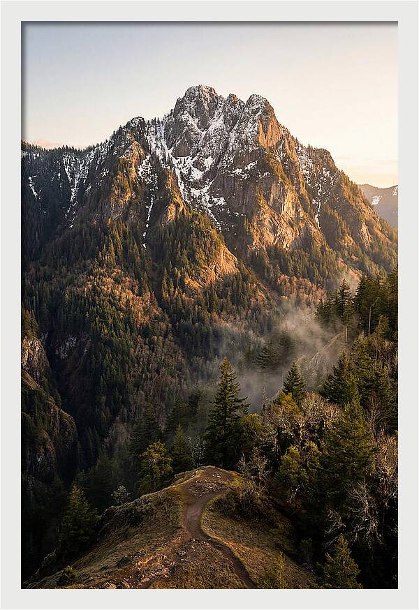 Pine Mountain Majesty