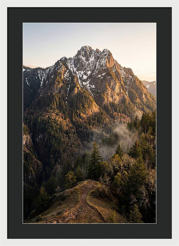 Pine Mountain Majesty
