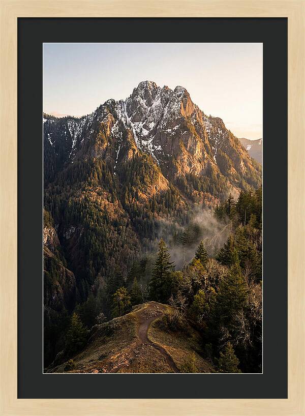 Pine Mountain Majesty
