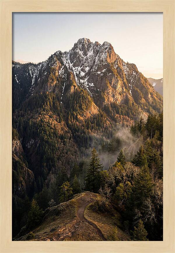 Pine Mountain Majesty