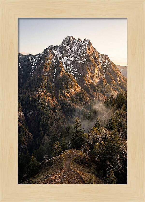 Pine Mountain Majesty
