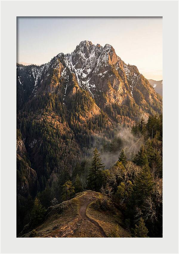 Pine Mountain Majesty