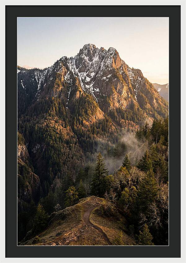 Pine Mountain Majesty