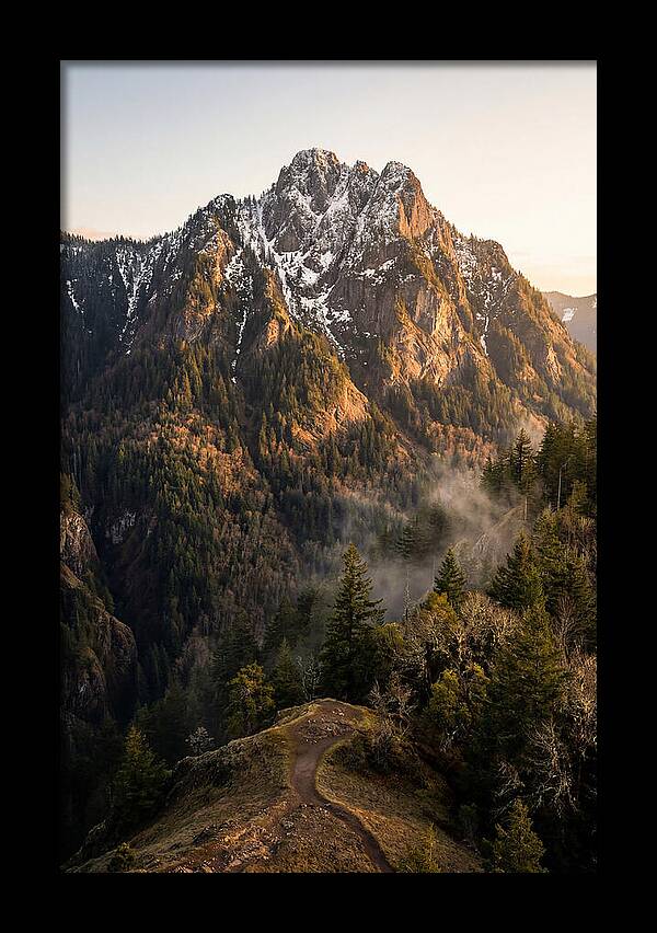 Pine Mountain Majesty