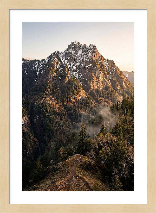 Pine Mountain Majesty