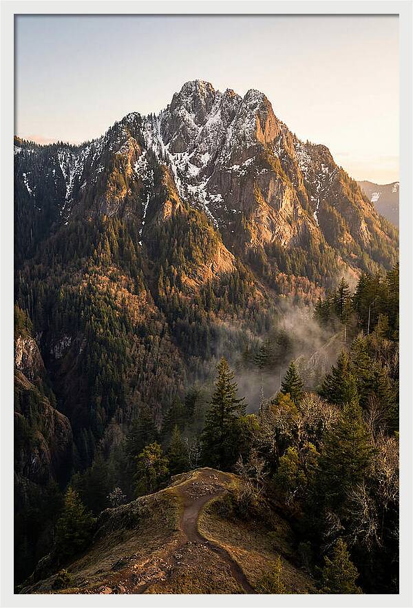 Pine Mountain Majesty