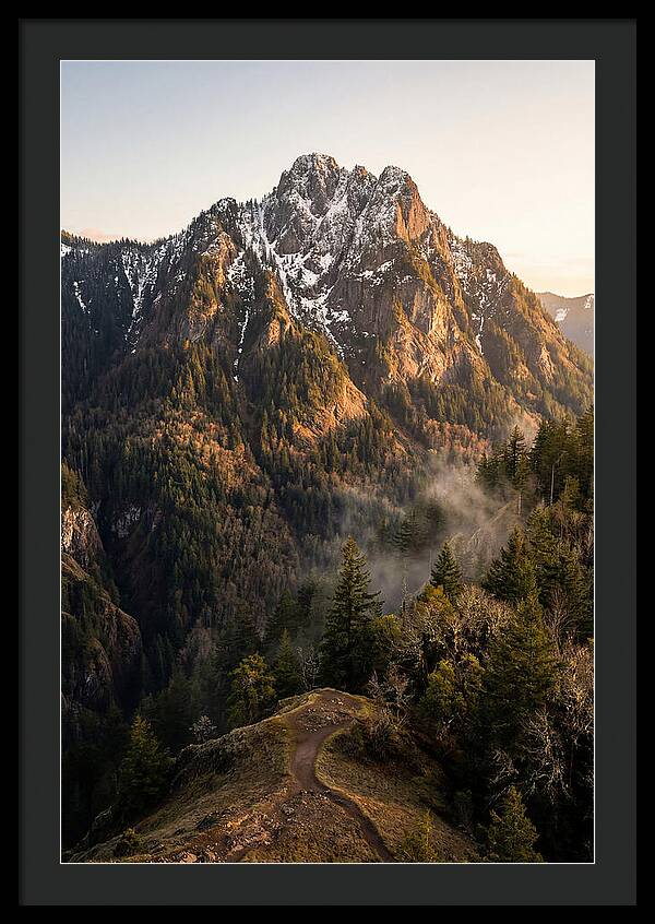 Pine Mountain Majesty
