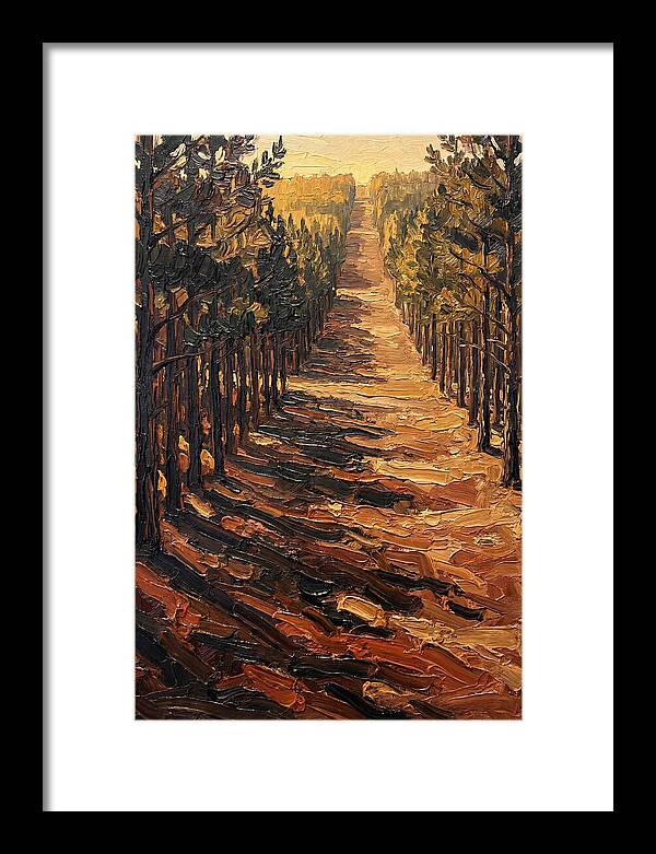 Pine Plantation Pathway