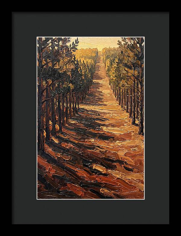 Pine Plantation Pathway